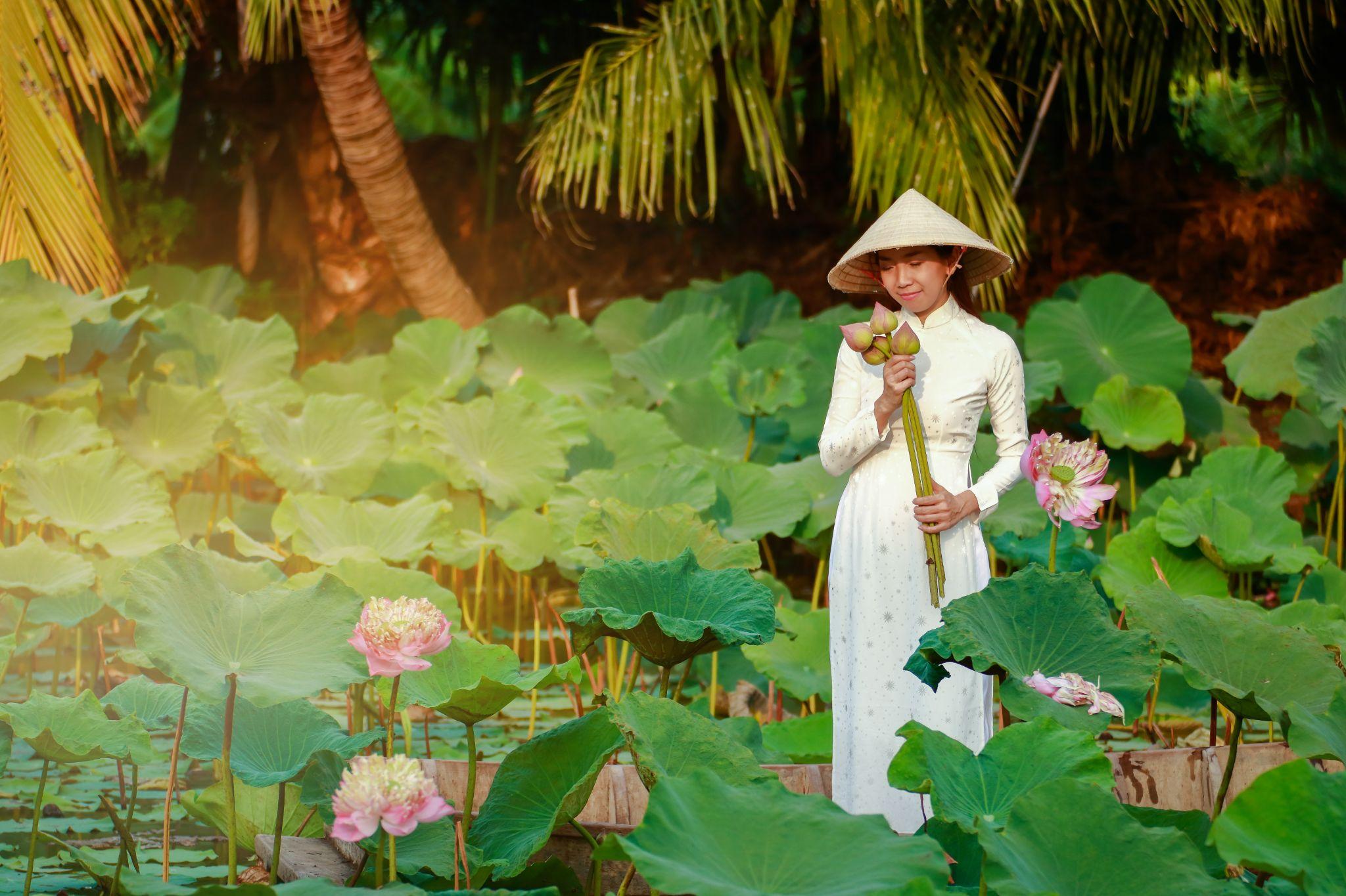 The lotus symbolizes the purity and serenity of a person